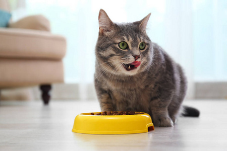 捣蛋猪修改器无限格子_捣蛋猪修改器_捣蛋猪修改版无限零件版