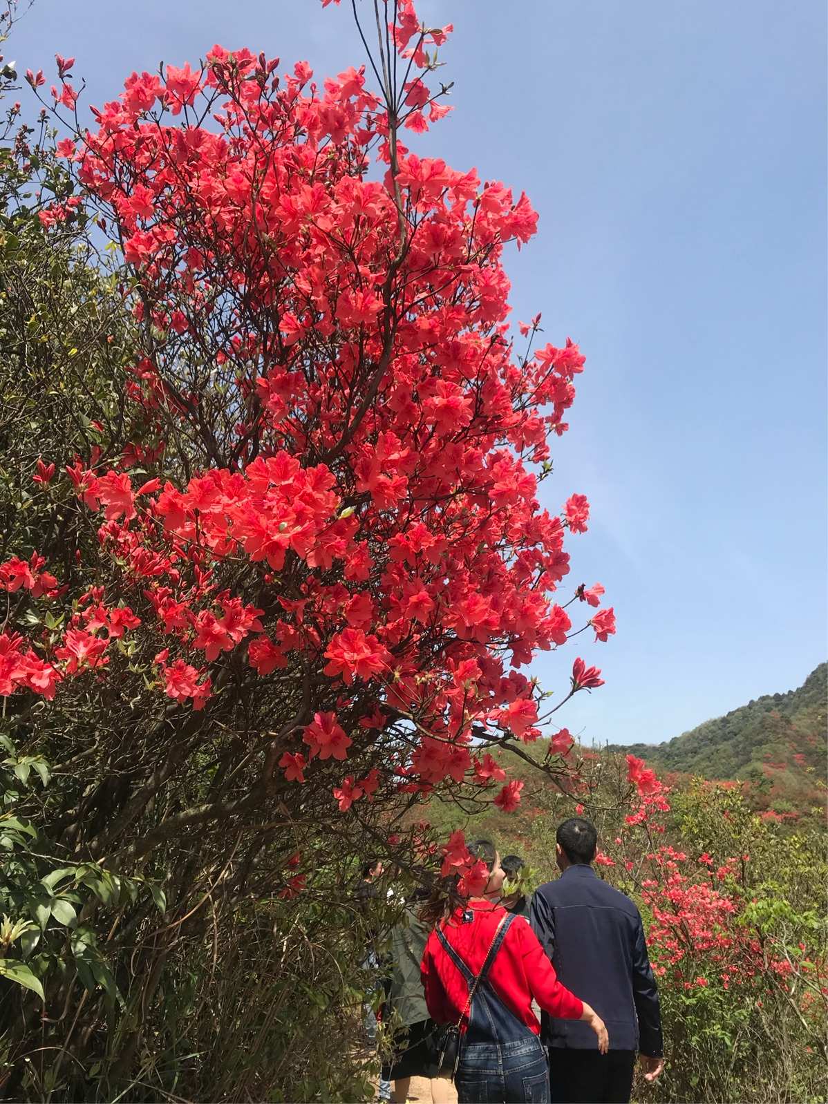 天堂的传说_昂天堂传说_天堂山传说