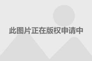 北汽全新越野车_北汽越野新款_北汽越野车2020款