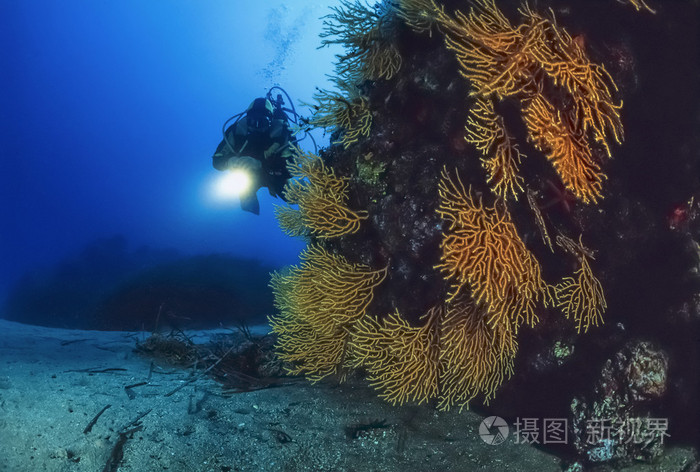 去海底冒险_海底冒险游戏_海底冒险