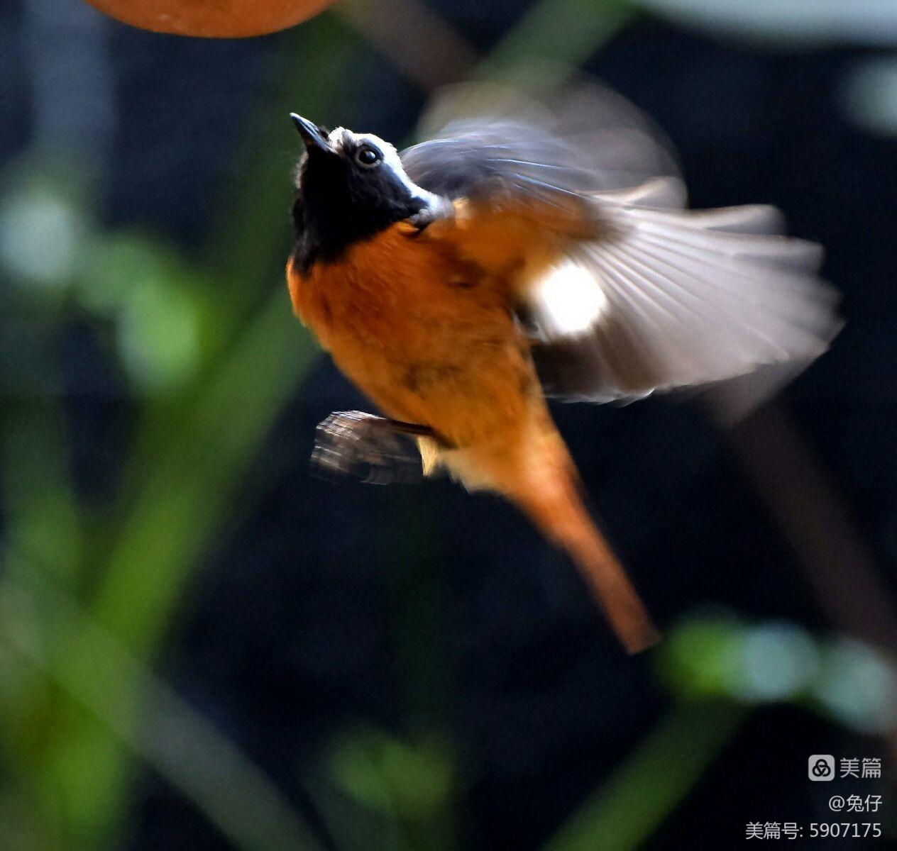 小嘴乱动fly专辑_小嘴乱动fly的专辑_小嘴乱动fly