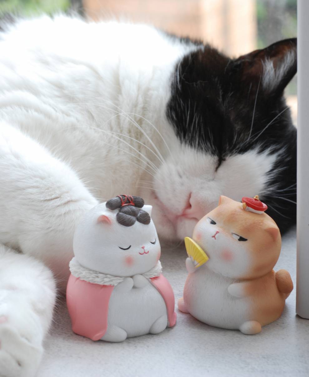 我最爱的猫国 猫国物语_猫国物语绘本在线看_猫国物语系列