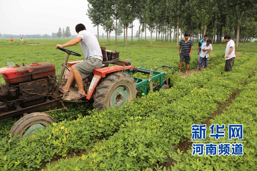 新型花生收获机_花生新型收获机图片_花生收获机报价2021