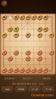 象棋类的游戏_象棋类小游戏_象棋的小游戏