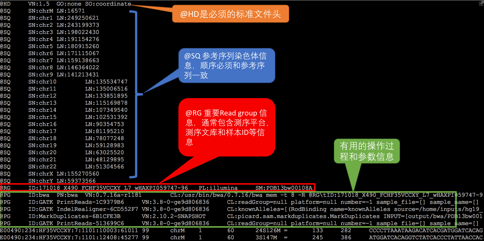 vc2008 vc60_2008年314事件视频