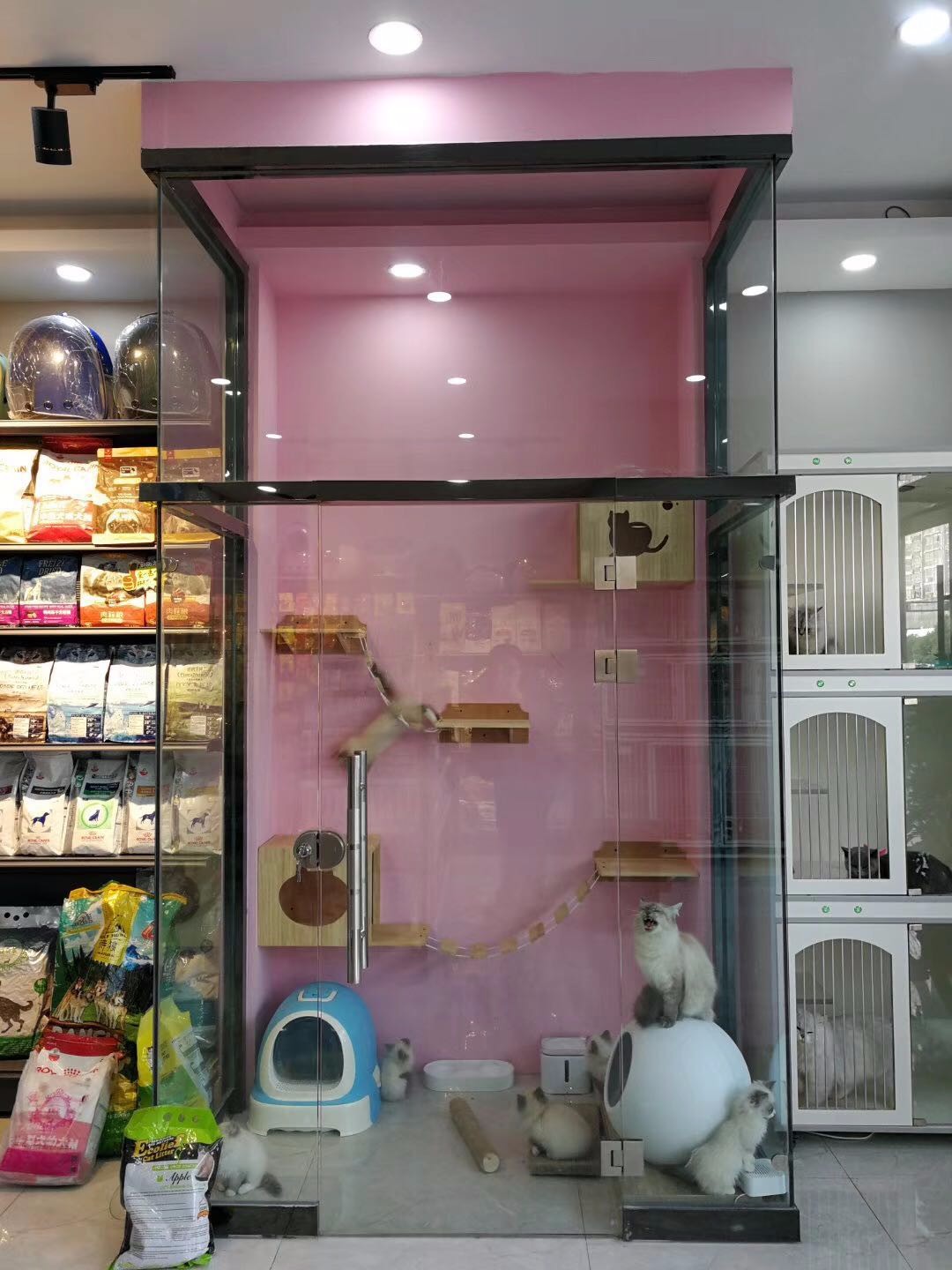 连云港宠物店电话号码_连云港宠物店海州_连云港宠物店