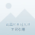 男气功武器排行_男气功用什么武器类型_男气功武器类型