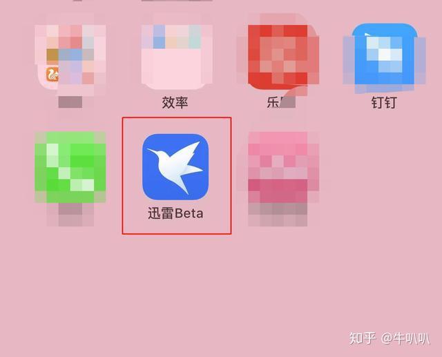 迅雷官网地址_迅雷 官网_迅雷官网下载