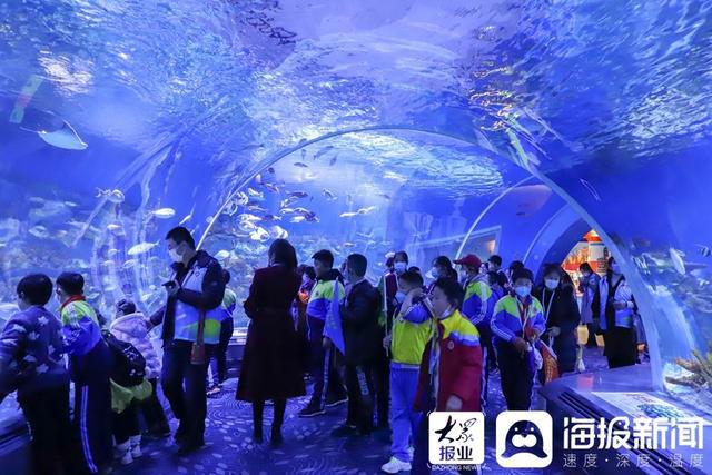 q宠大乐斗q游记礼包_q宠大乐斗许愿_q宠旅游