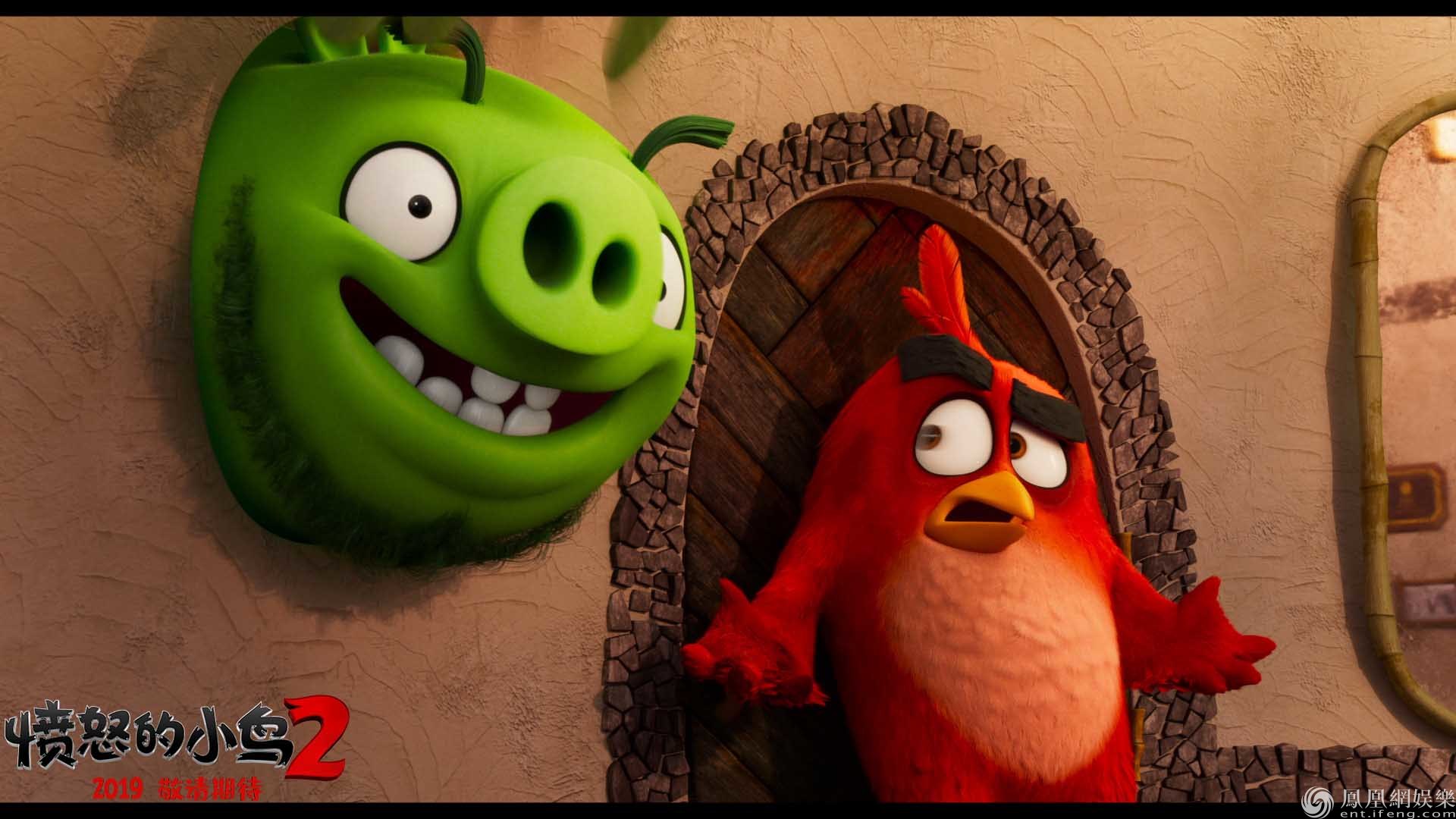 angry bird