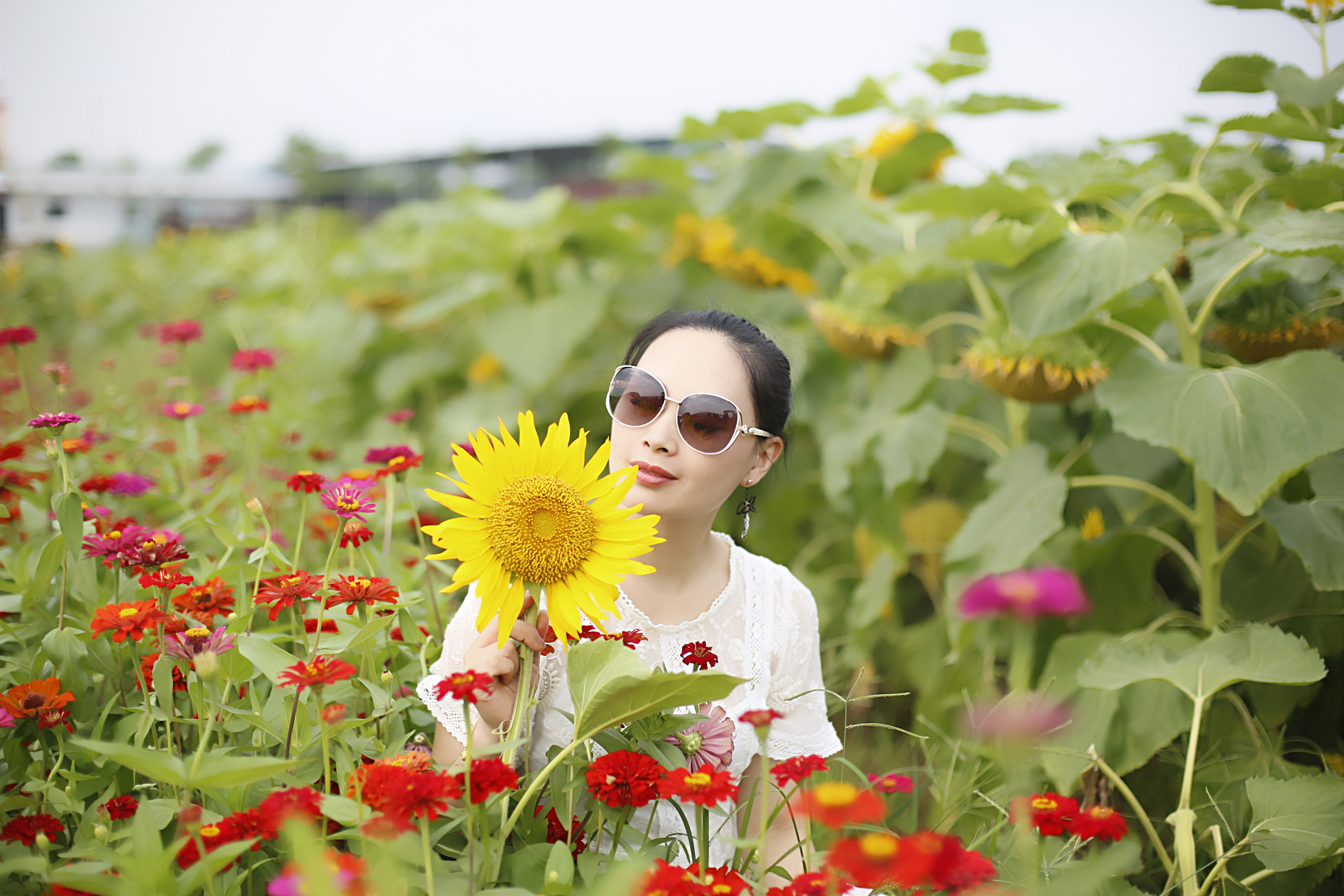 东少d陈子豪歌曲_东少d陈子豪生化_东少d陈子豪妹妹照片