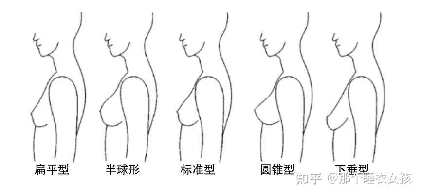 美女的乳头_美女sm乳头夹_美女暴露两粒乳头