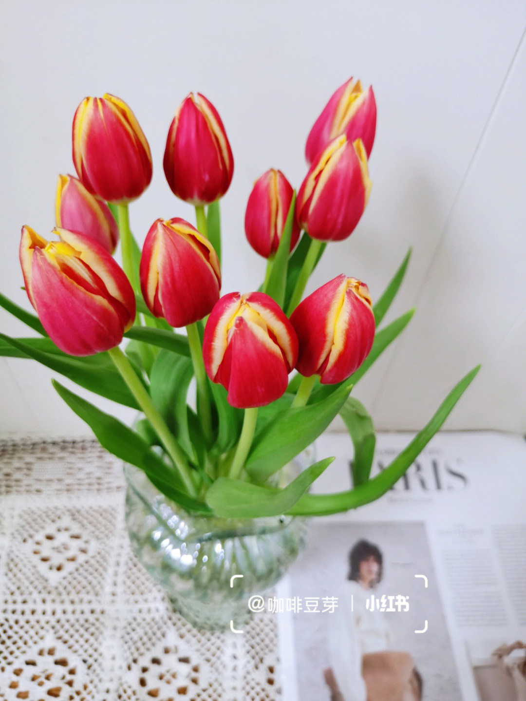 花和爱丽丝图片_百合gl花吻图片_花吻在上爱丽丝图片