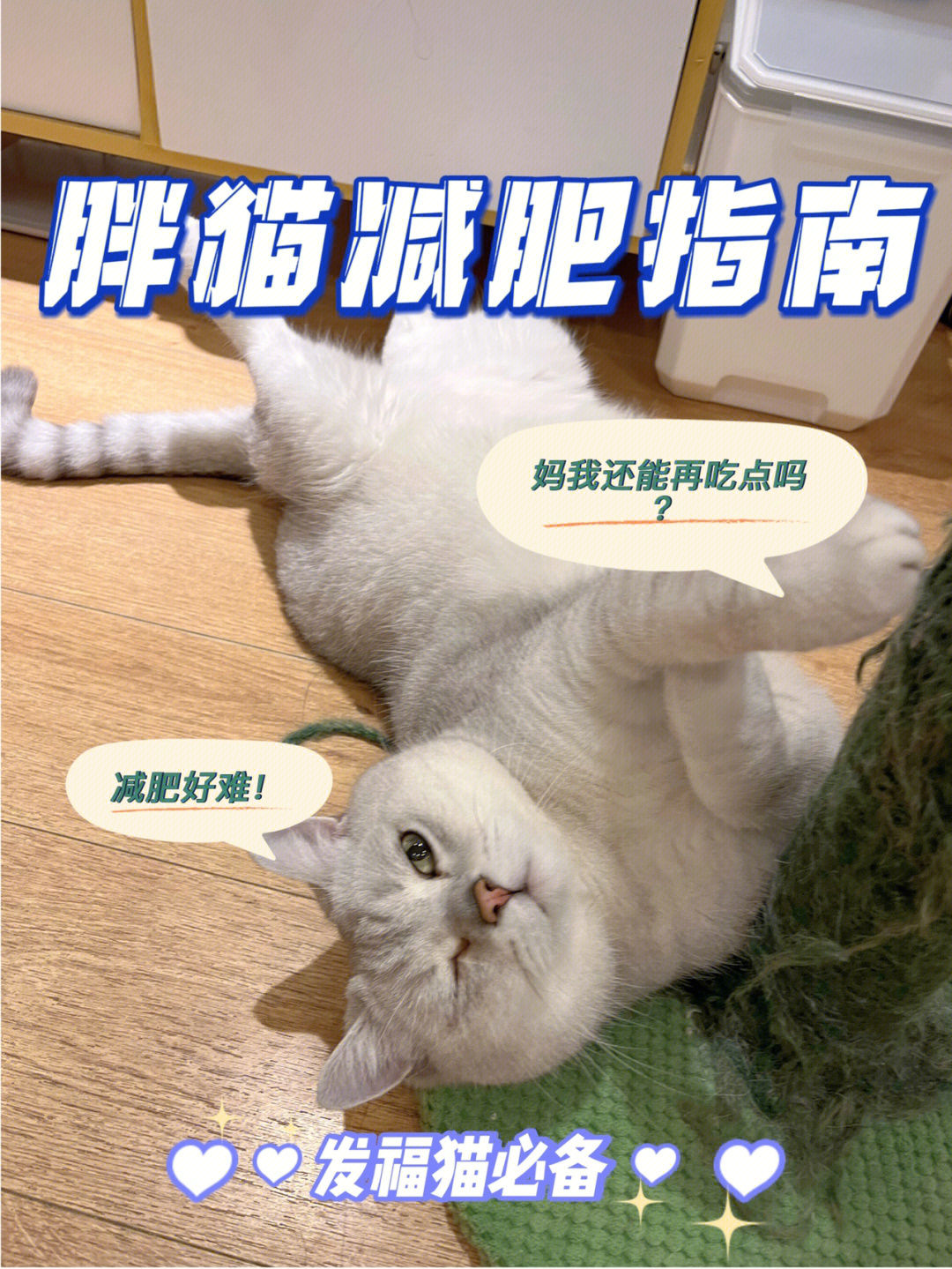 减肥猫粮哪个牌子好_减肥猫_减肥猫粮可以长期吃吗