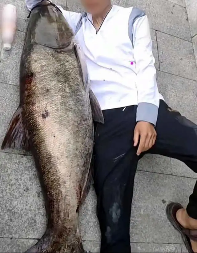 路飞手掌岛冒险_海豚王打鱼机图片_冒险岛怎么打鱼王