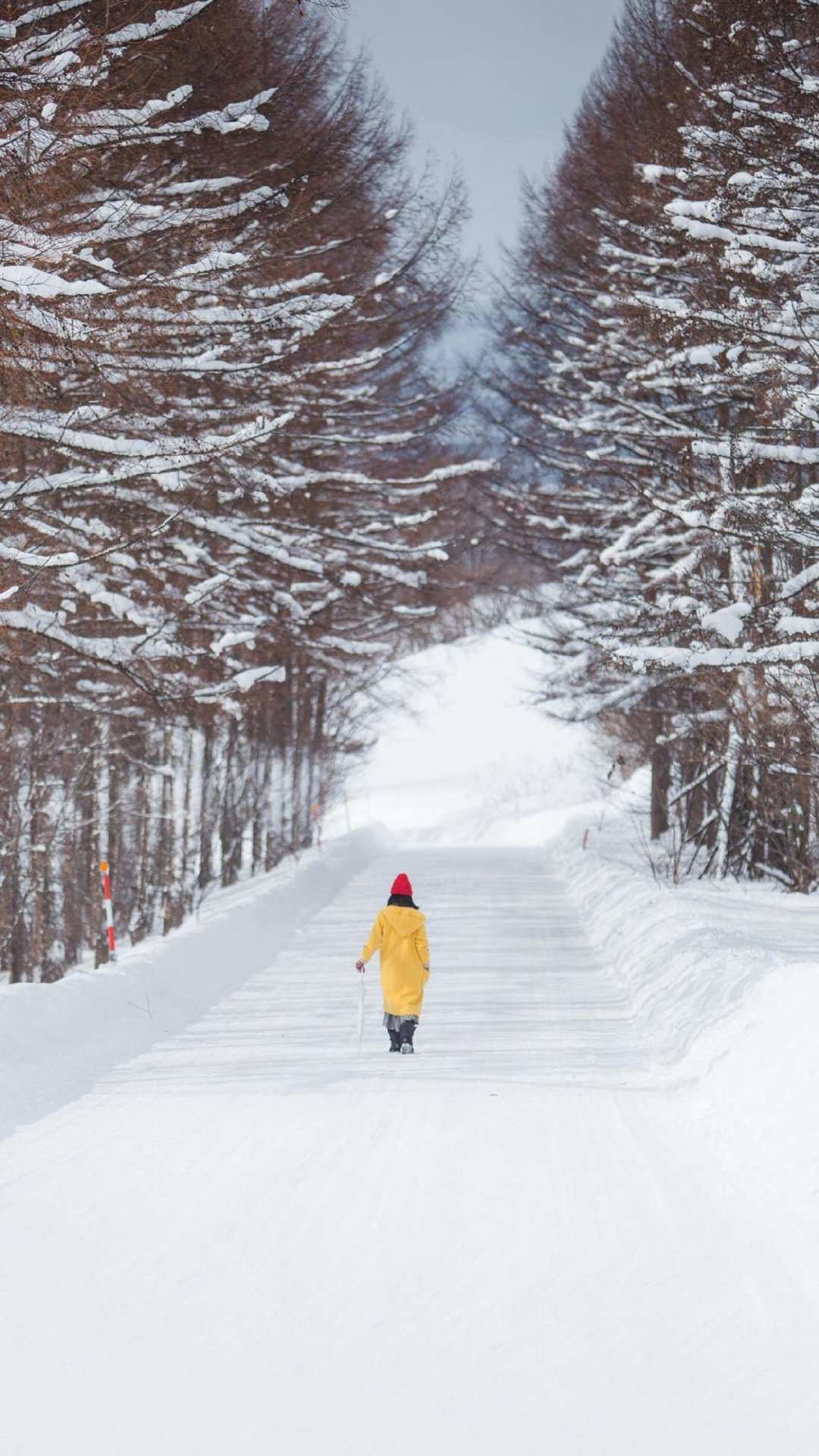 雪地幸存者正式版攻略_雪地幸存者_雪地幸存者攻略