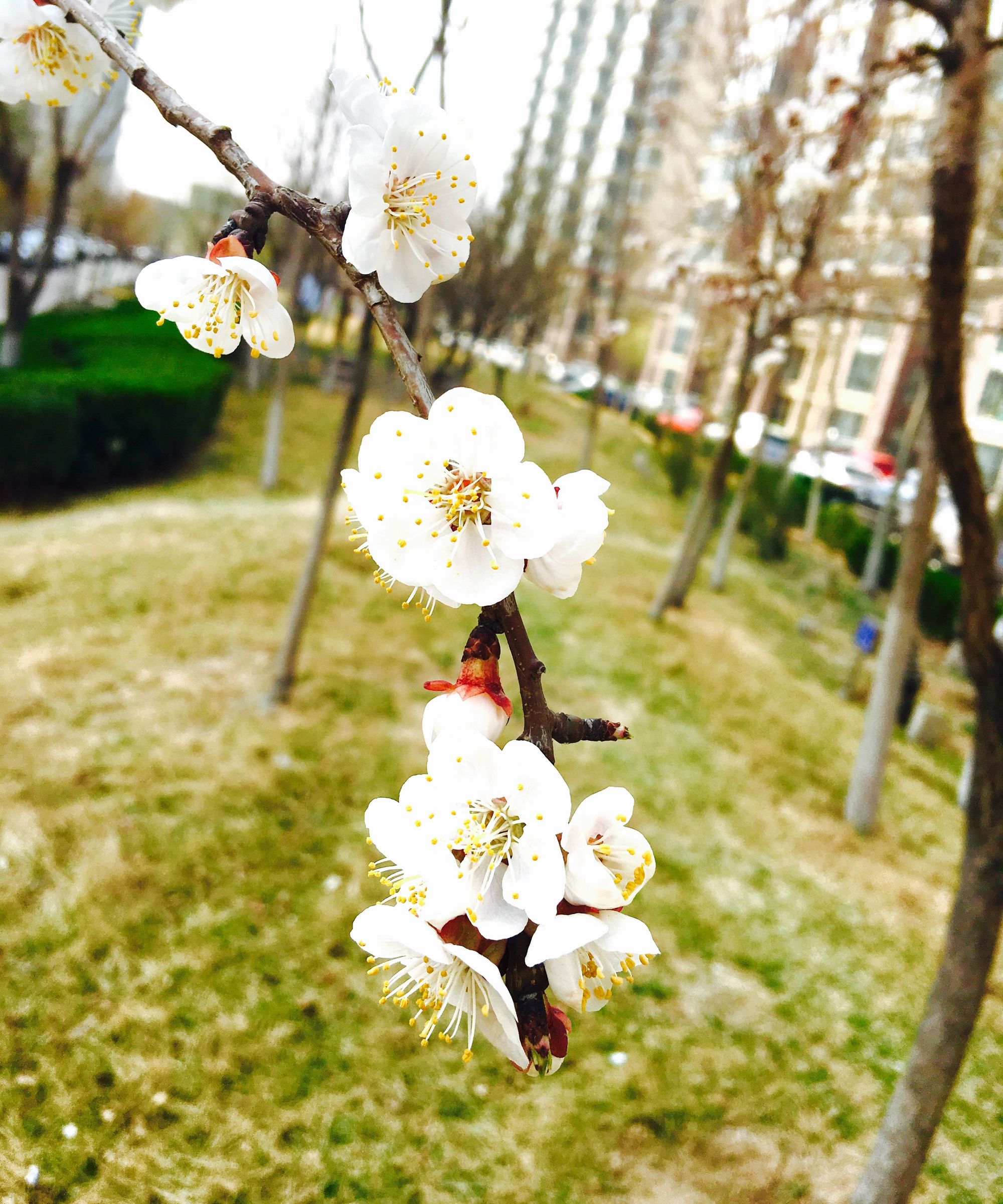 旅途十年
