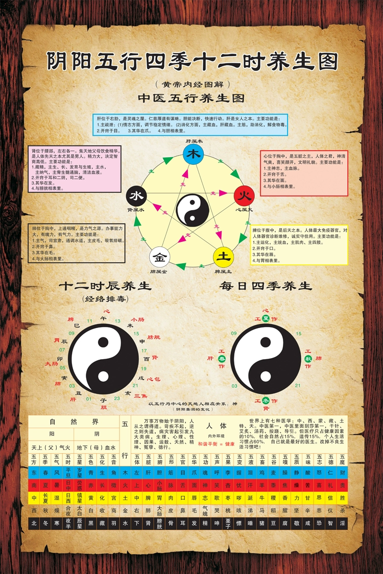 sd五行堂_五行堂口是什么样的_五行堂是什么意思
