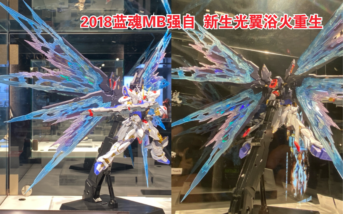 斗罗大陆龙王武魂魂技_斗罗大陆蓝电霸王龙有什么魂技_斗罗大陆蓝龙打架魂环