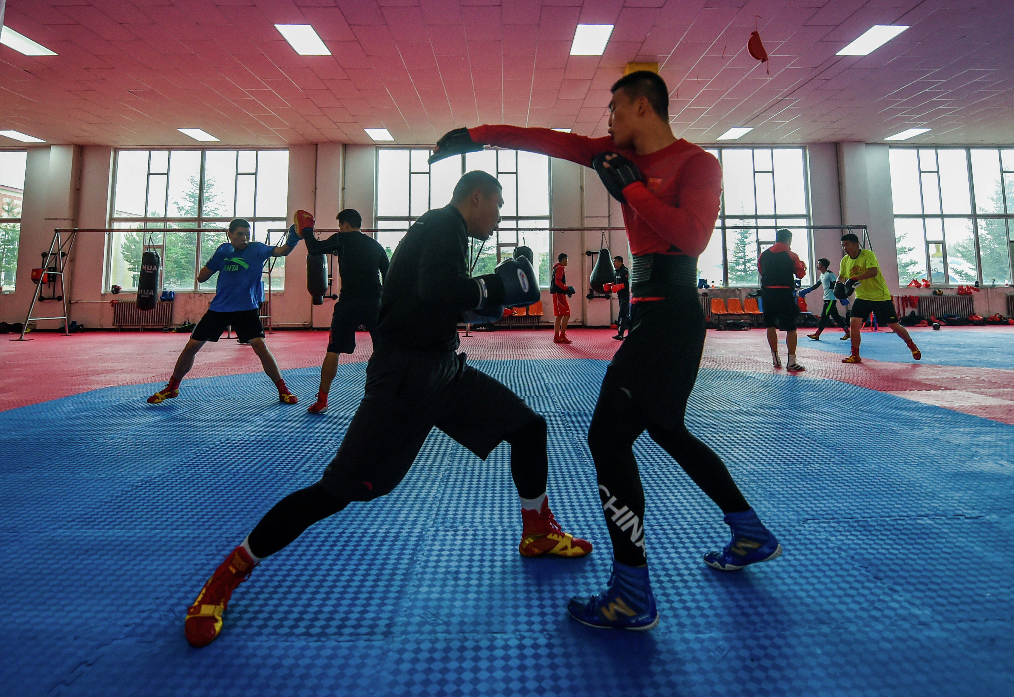 中国女拳王沈舒_美女拳王沈舒_我就是拳王美女主持人