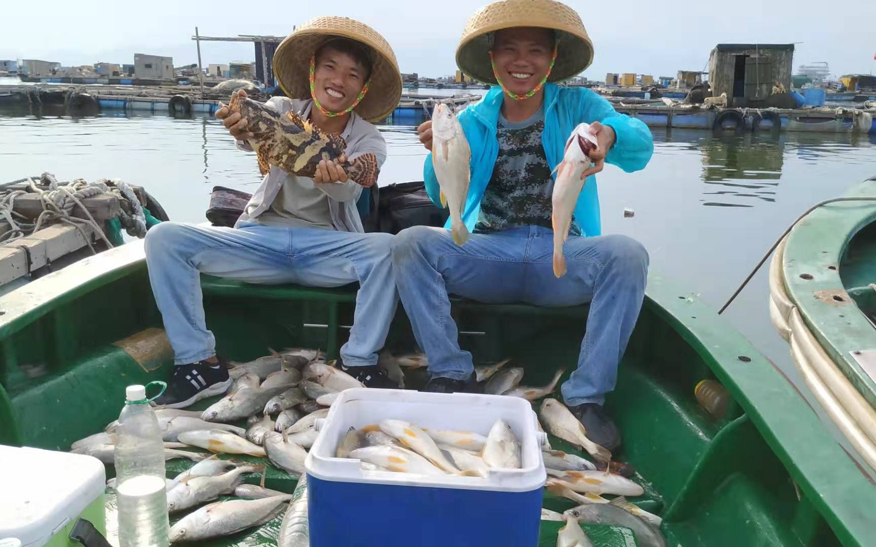 我像只鱼儿在你的荷塘_女大侠和小郎中在线_大侠小鱼儿