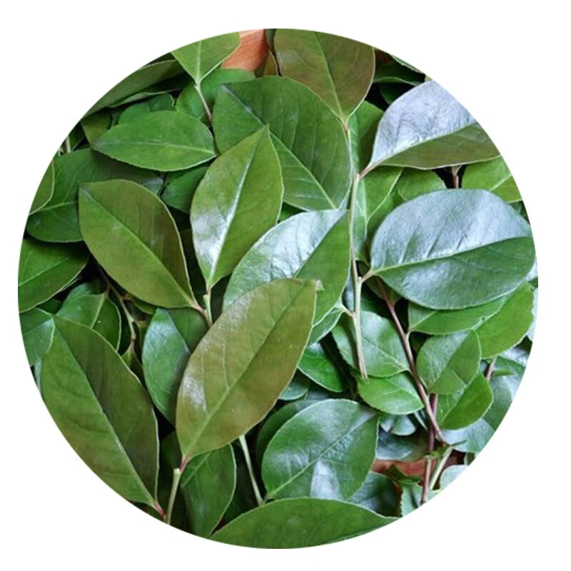 午餐小羊小提米图片大全_小小羊提米的午餐_小羊提米视频