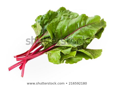 小小羊提米的午餐_小羊提米视频_午餐小羊小提米图片大全