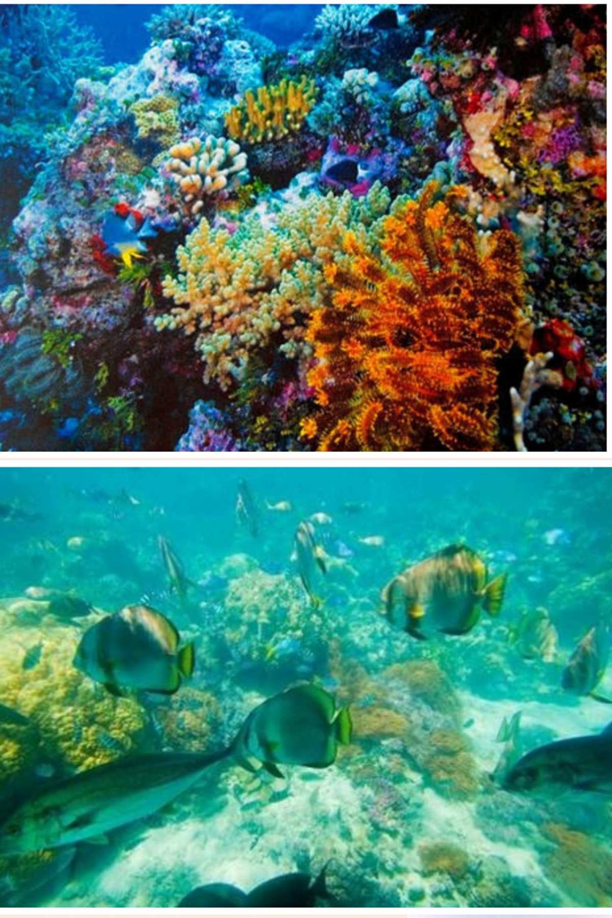 梦幻西游海底沉船在哪_梦幻海底攻略_梦幻海底