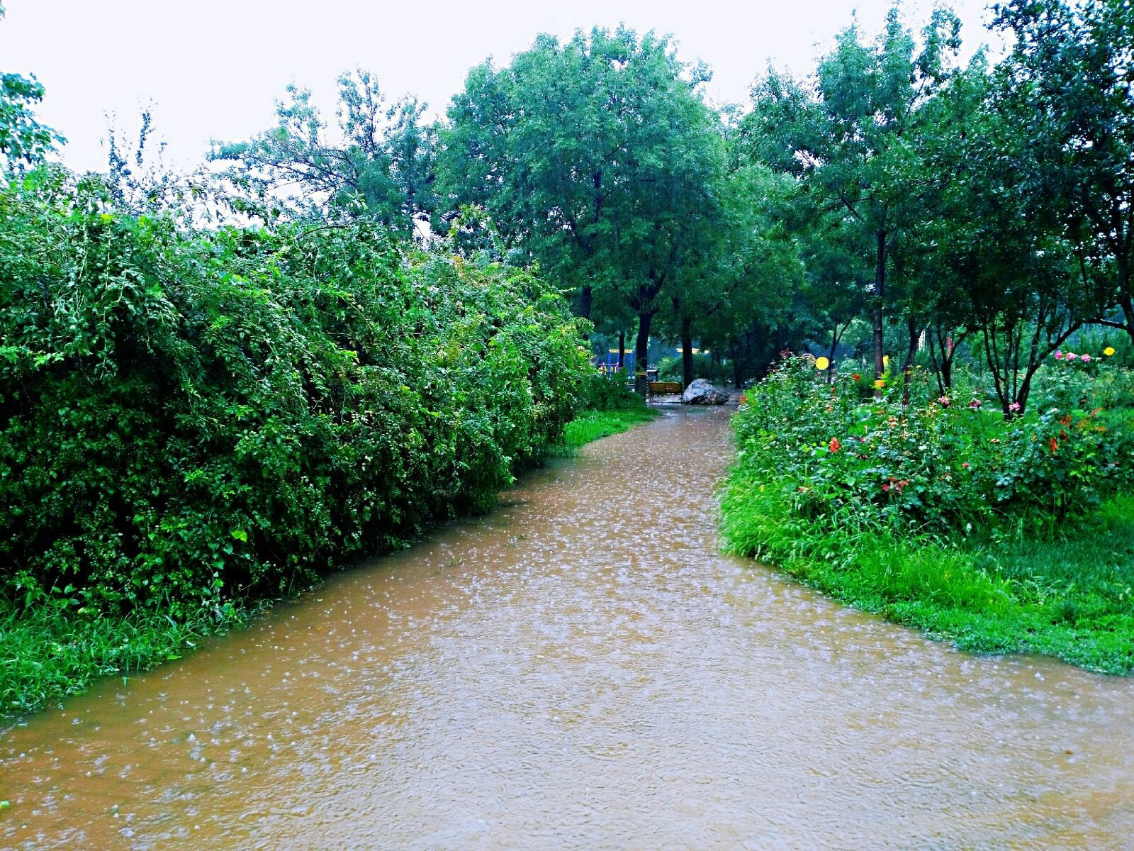 雨境迷踪：银色之美