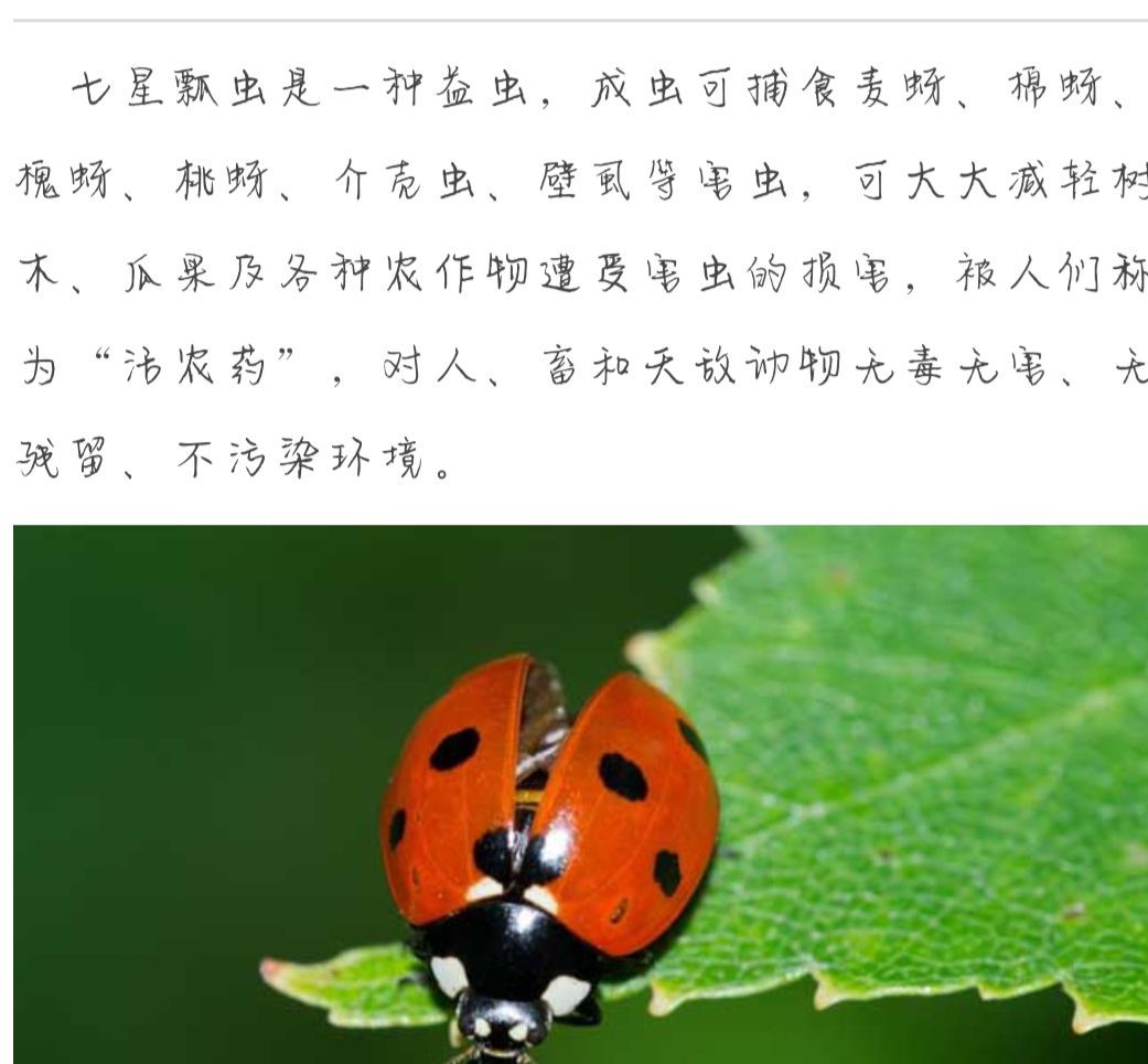 保卫长沙战40集_虫虫堡卫战_虫虫保卫战
