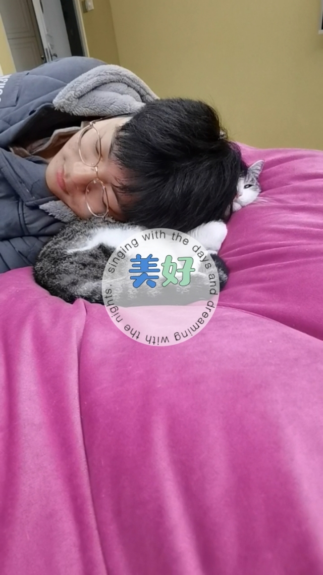 小帅喵的照片_喵喵照片呢_喵喵的照片可爱