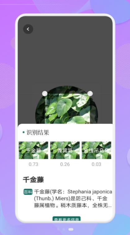 拍照软件_拍照软件排行榜_拍照软件推荐app