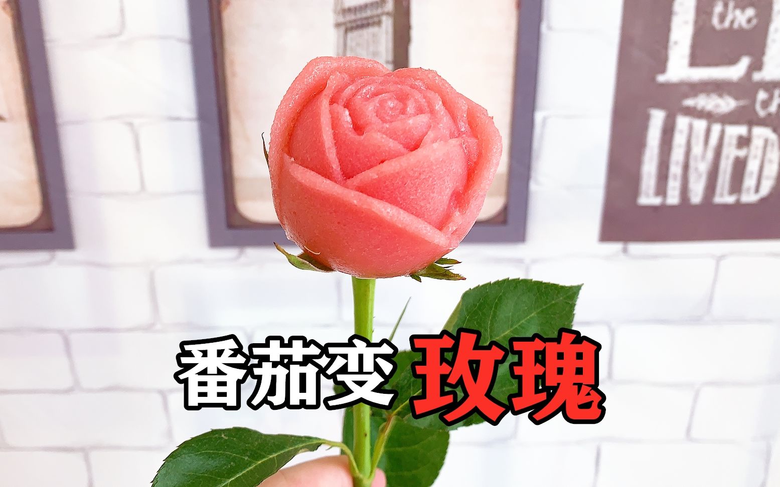 植物保卫战修改叶子_植物保卫战吧_植物大战僵尸叶子保护伞怎么用