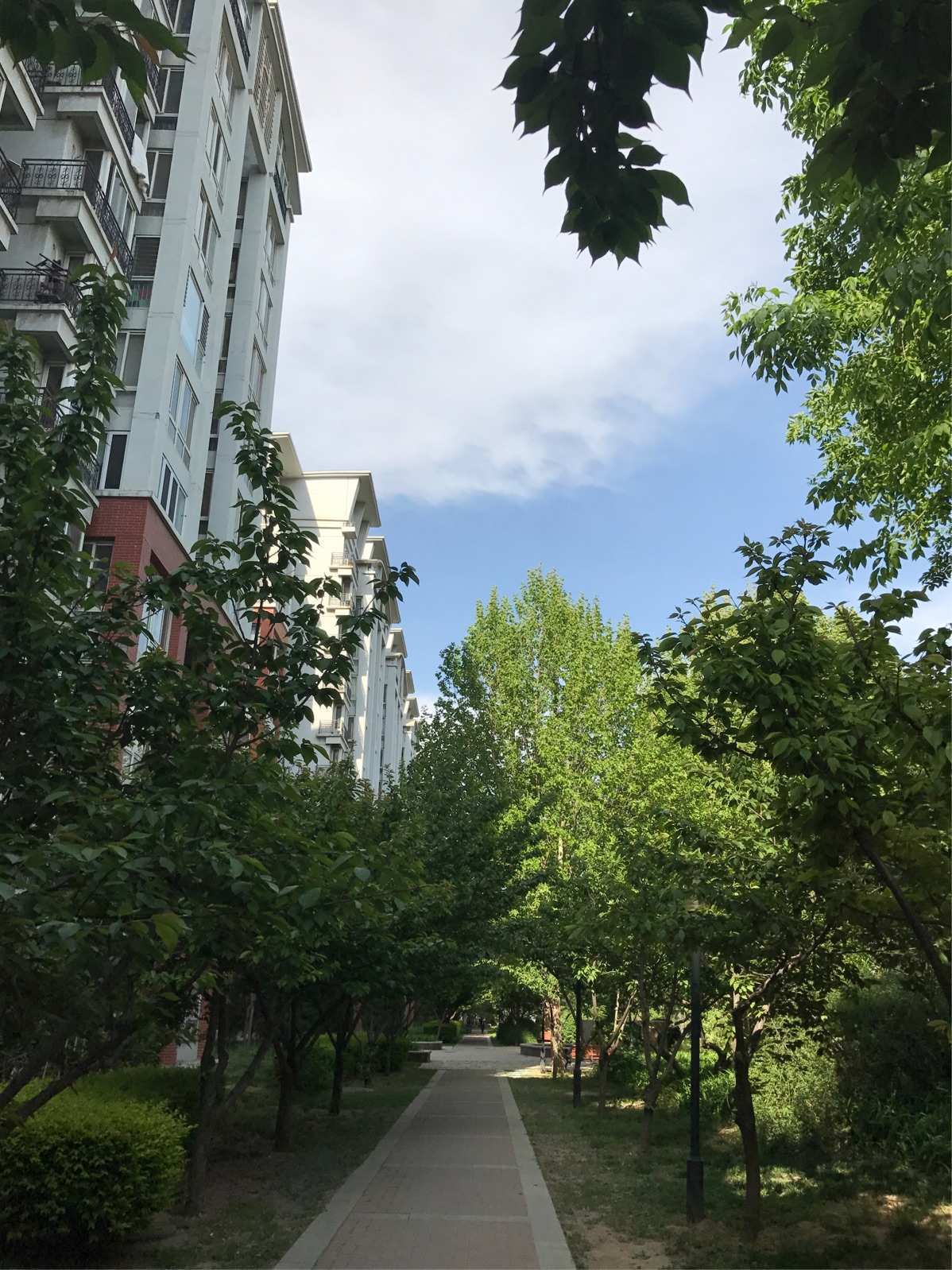 家园2cdkey_家园7_家园共育