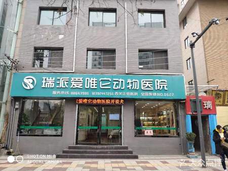 太原宠物医院哪家便宜_太原宠物医院大全网_太原宠物大全医院网上挂号