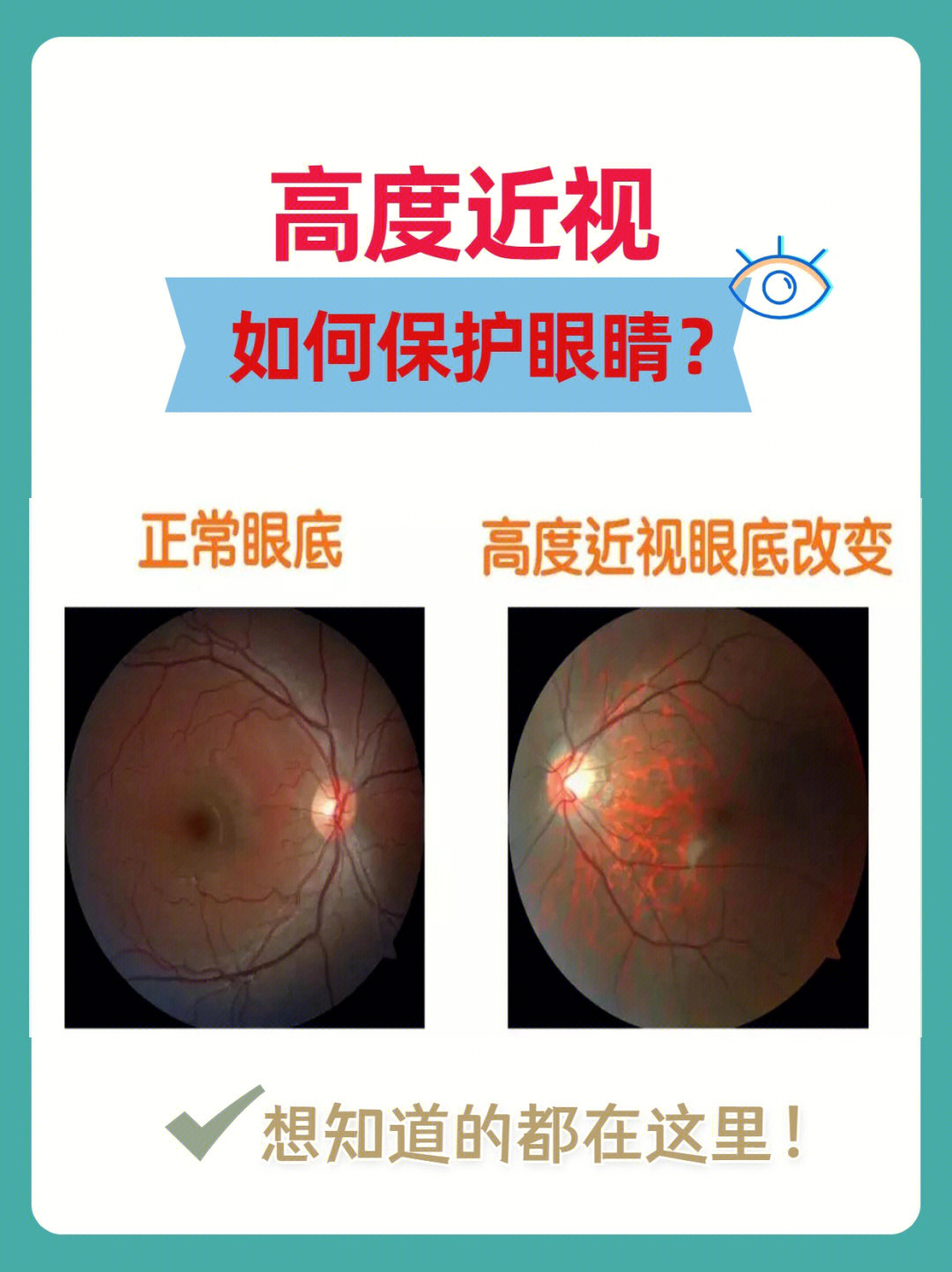 危险方法 lol迅雷下载_lol迅雷下载地址_危险飞行迅雷下载