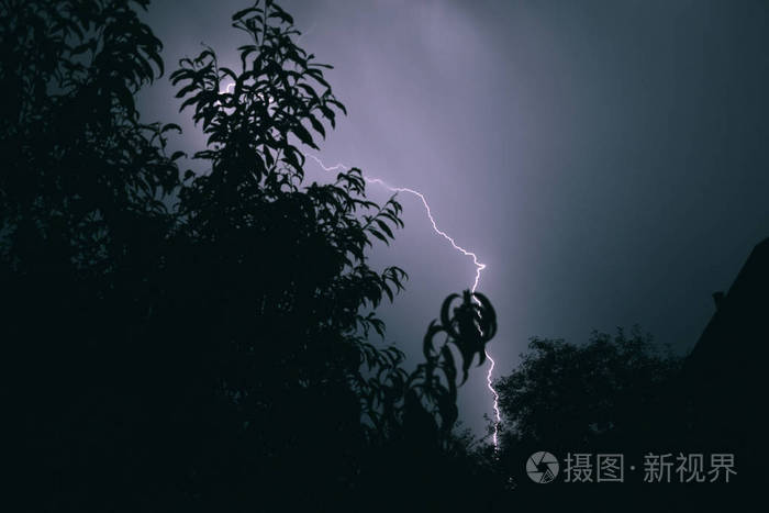 雷霆怒剧情_雷霆怒虎装扮_雷霆之怒