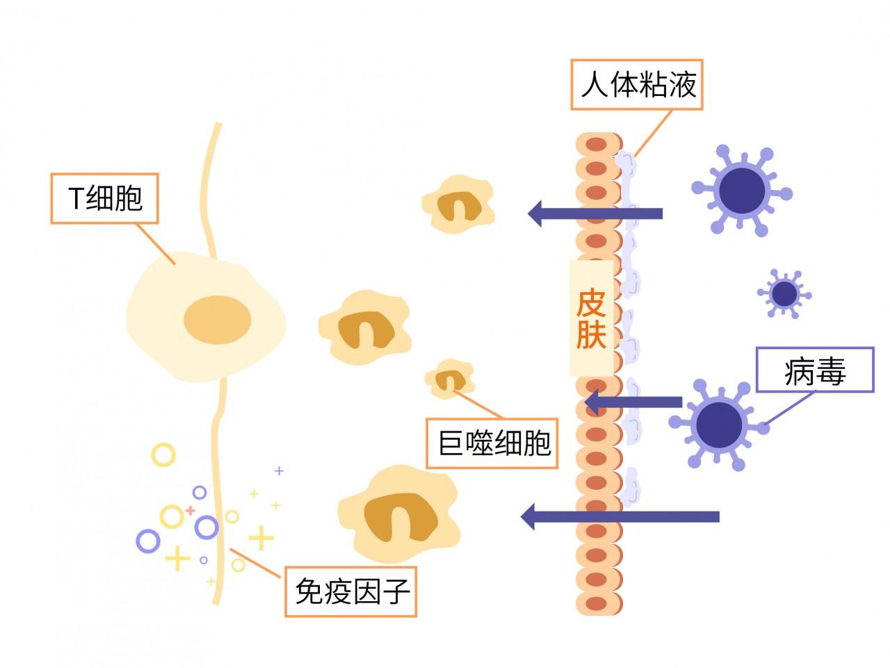 粘液实验室2第四关_粘液实验室2选关版_粘液实验室二第11关怎么过