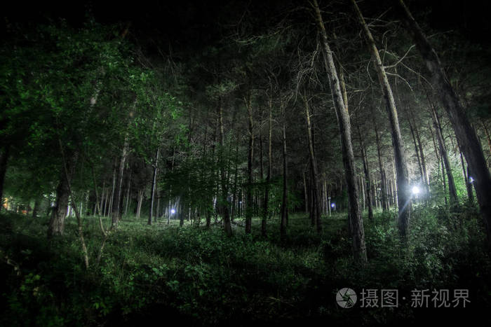奥比岛晚上几点不能玩_4399奥比岛官方论坛_4399奥比岛夜间版