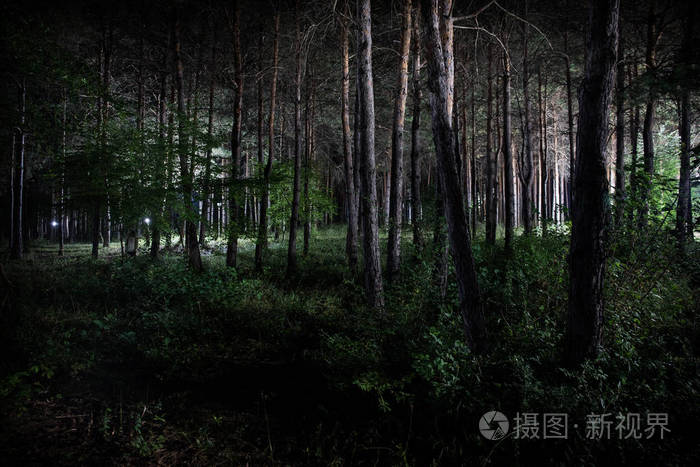 4399奥比岛夜间版_4399奥比岛官方论坛_奥比岛晚上几点不能玩