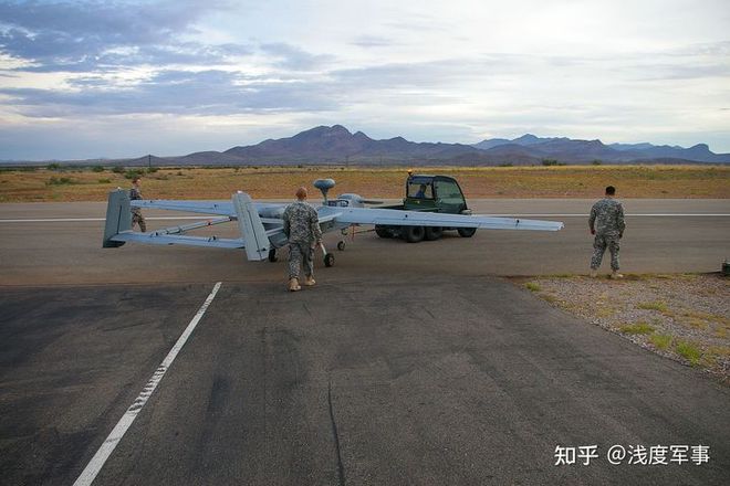 兵蜂_蜂兵卡组_蜂兵什么甲