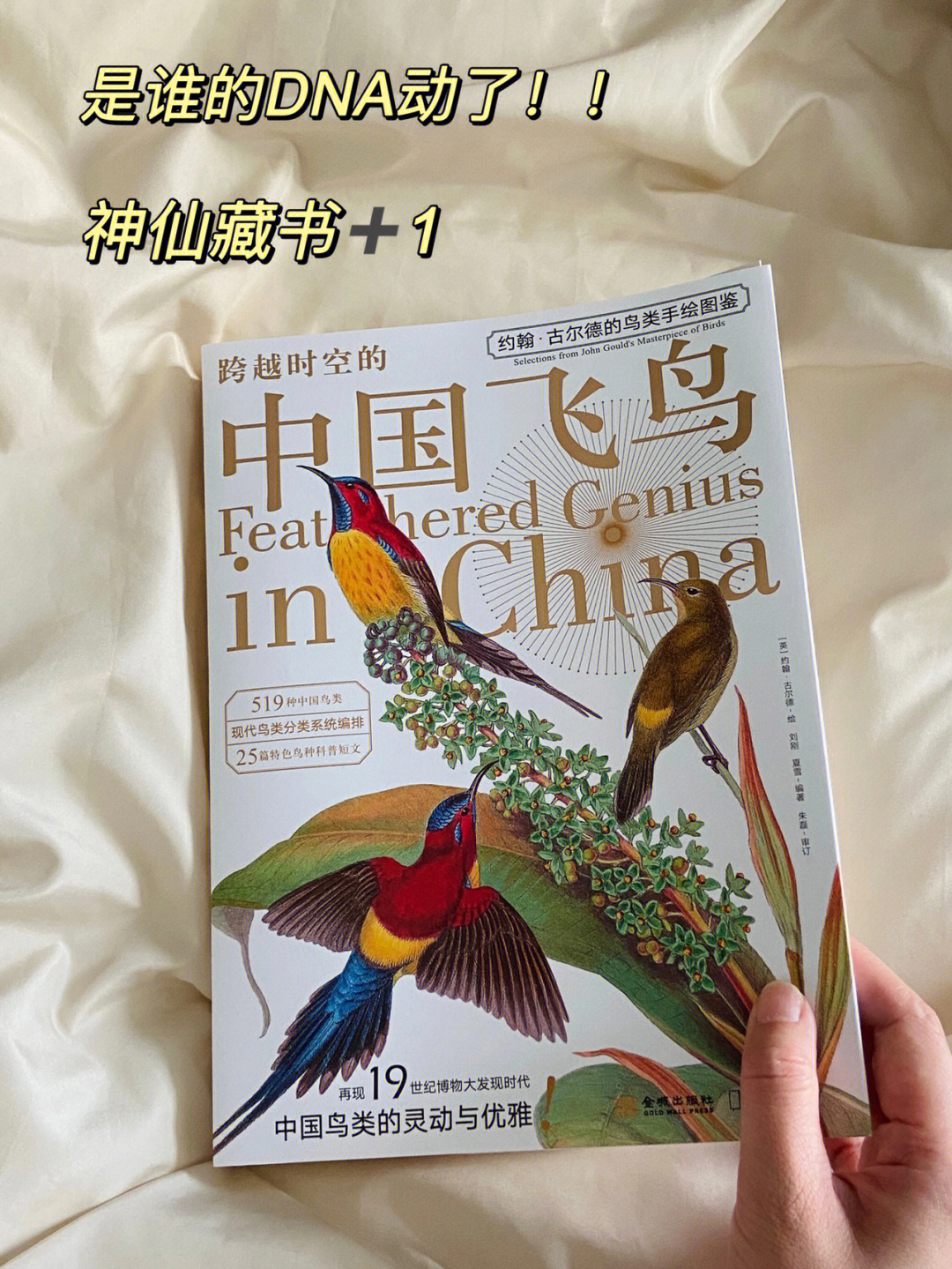 正阳游戏机房关门原因_正阳游戏机房_正阳游戏