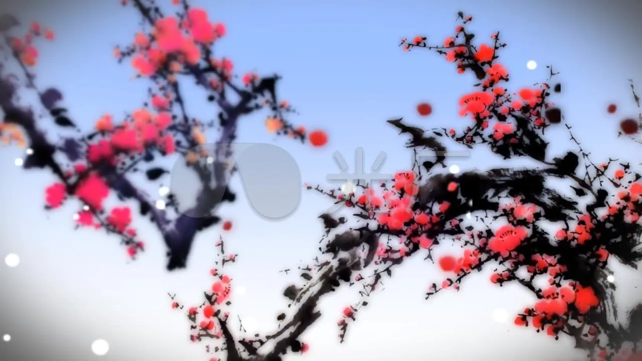 免费制作红包app软件_梅花视频app软件下载免费安装_app加固软件app下载