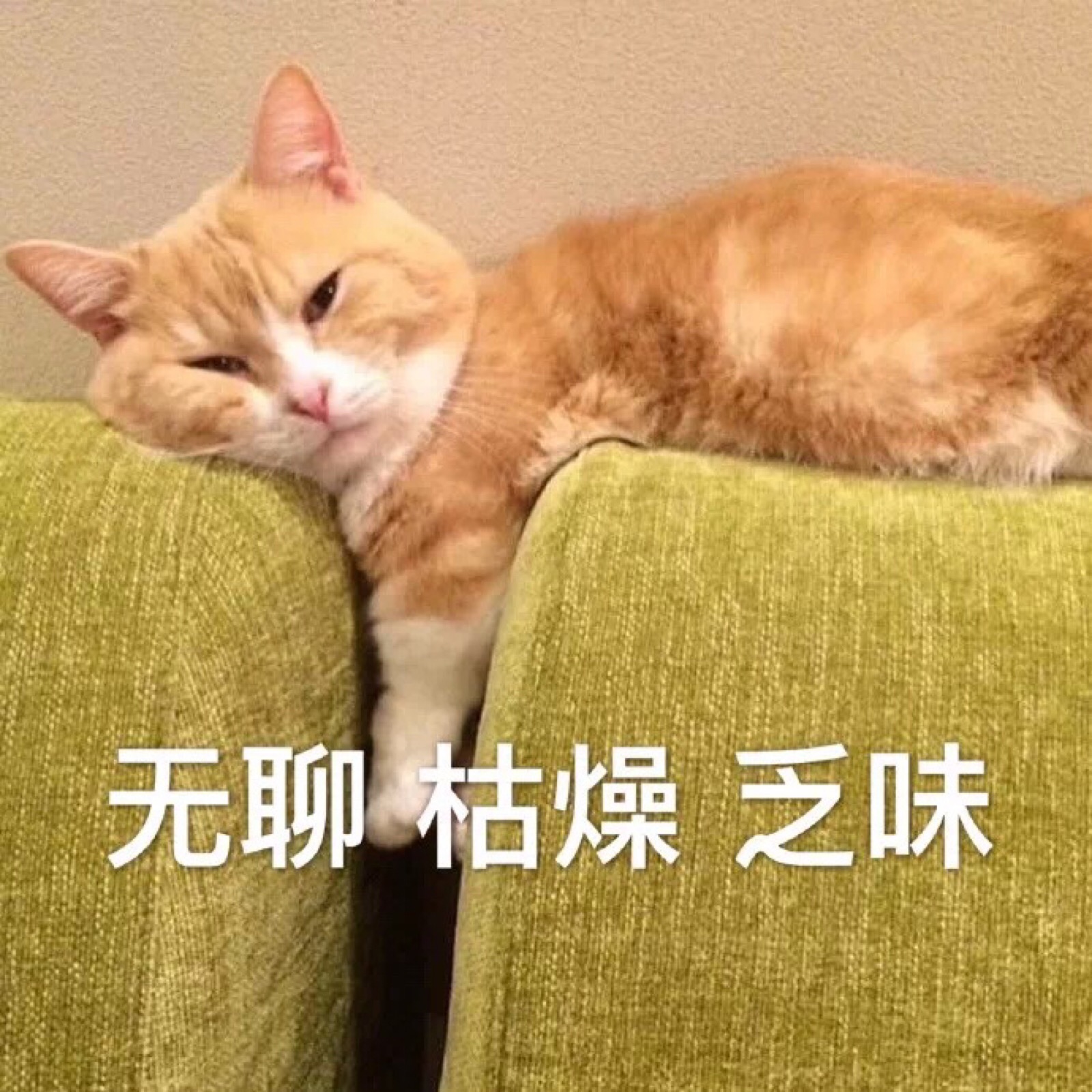 大全波霸免费观看_波霸ol大全_波霸ol电脑版