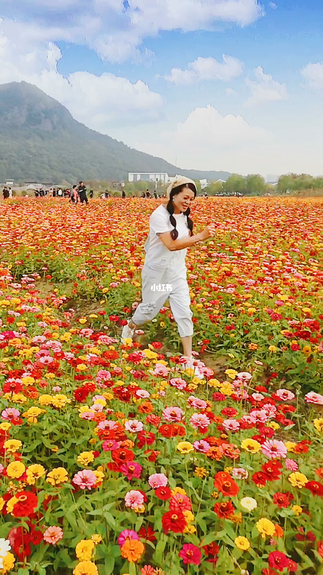 侍魂零游蝶花_花游_小鸟游十花