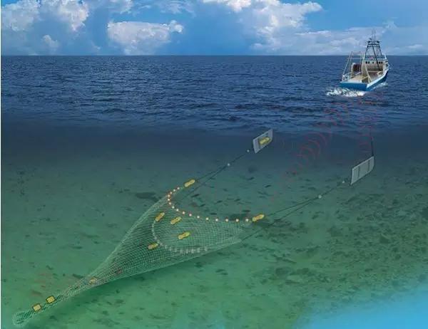 捕鱼海岛官网下载地址_海洋之星2捕鱼手机版下载_捕鱼海岛最新版下载