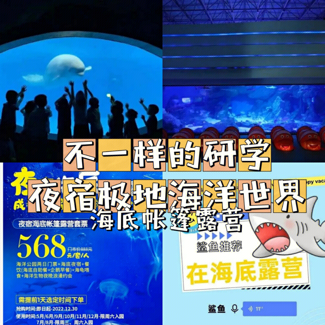 梦幻水族馆_梦幻水族馆一共多少关_梦幻水族馆是什么软件