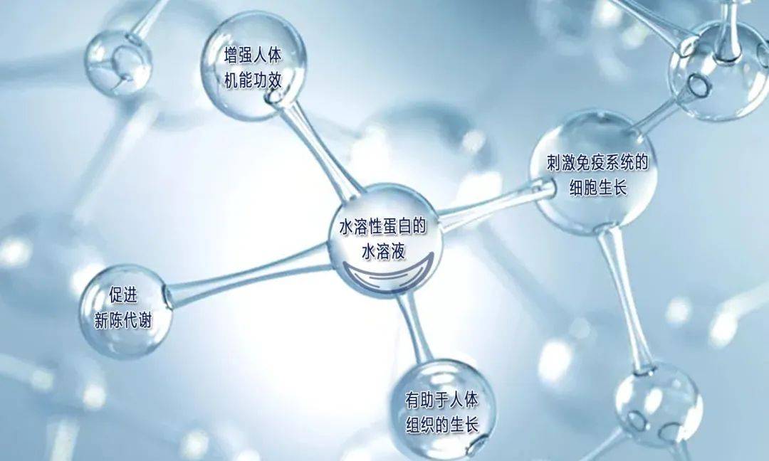 诺森德草药_诺森德草药学训练师_魔兽世界诺森德草药