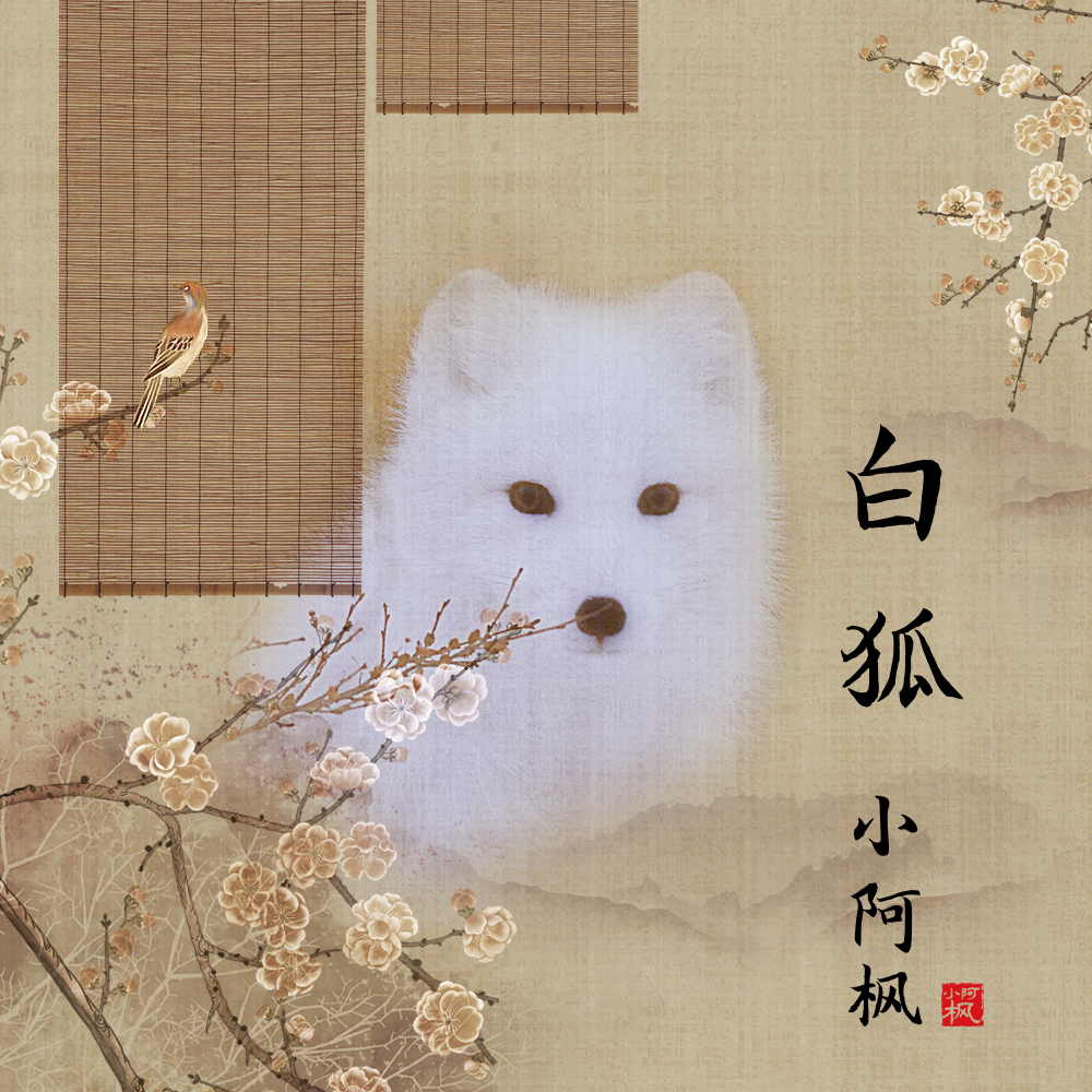 狐花猫_狐花猫多少钱_花狐