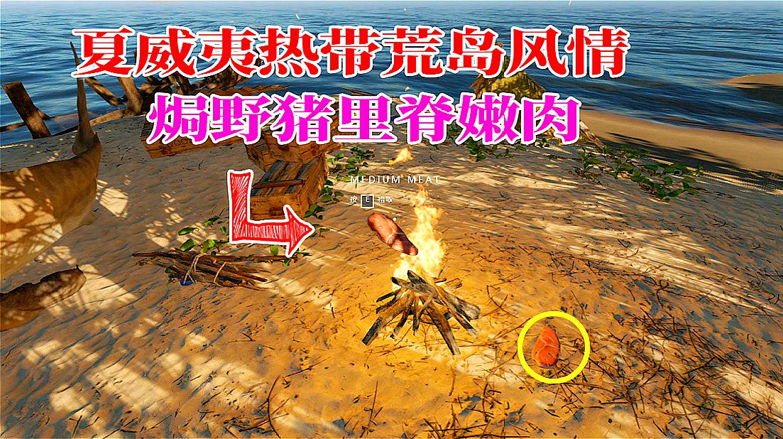 孤岛求生游戏_孤岛求生游戏_求生孤岛游戏怎么玩
